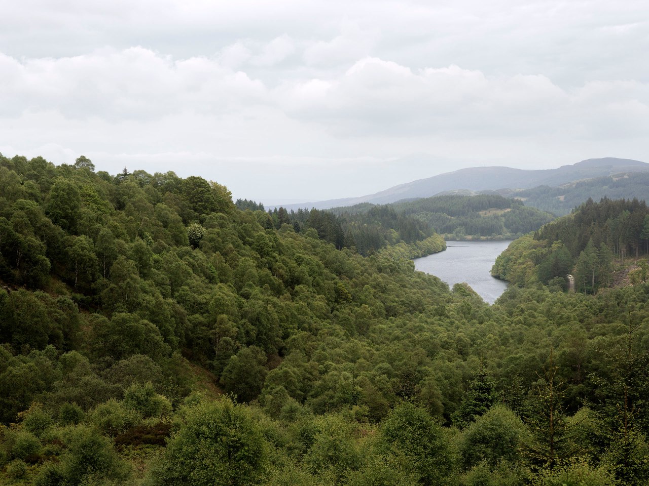 Strathyre Forest, Scotland UK - Eva Avril photographie