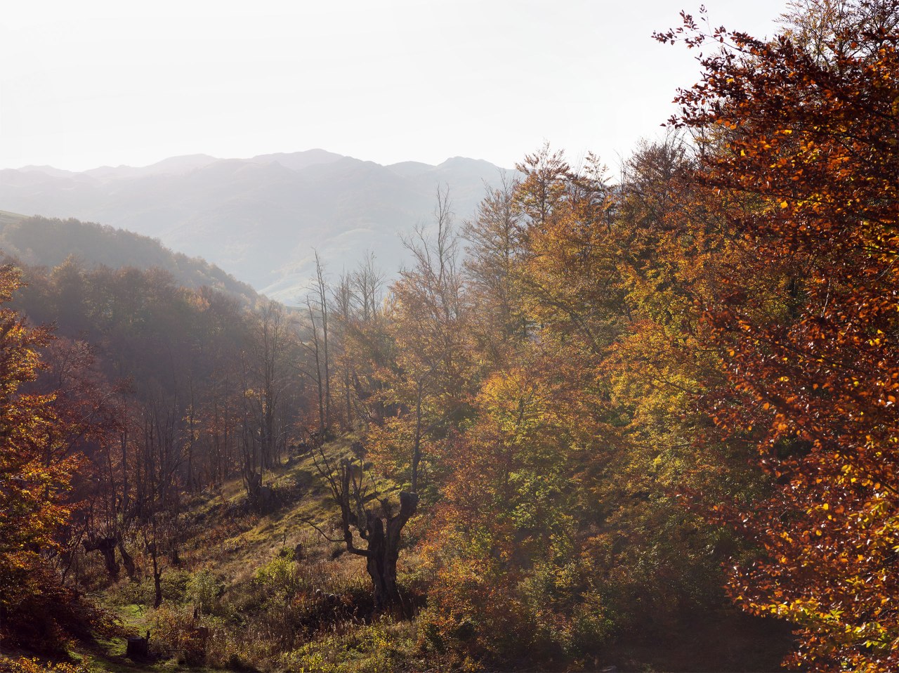 Obalj, Bosnia and Herzegovina - Eva Avril photographie