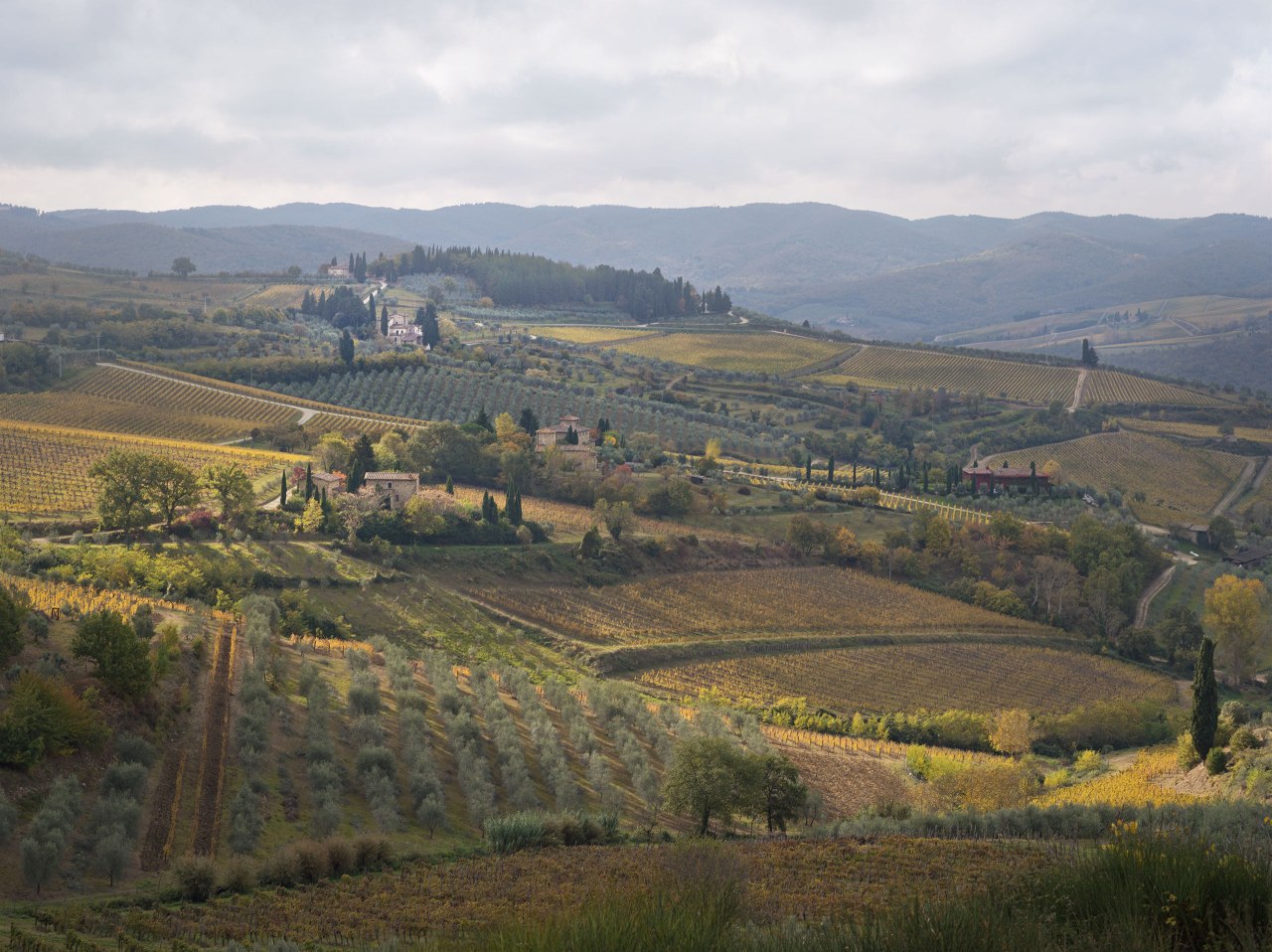 Tuscany, Italia - Eva Avril photographie
