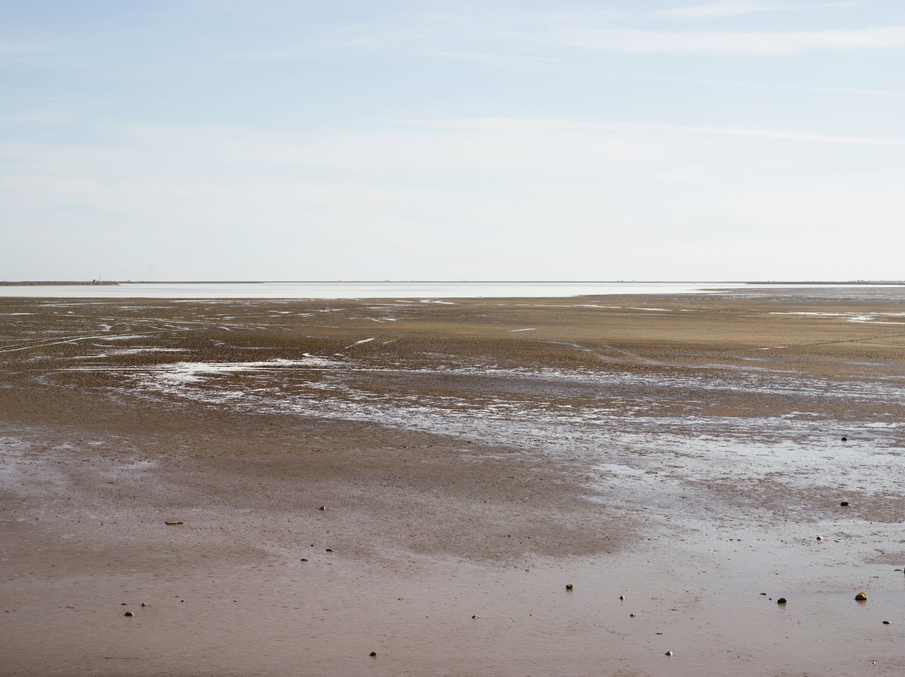 Camargue, France - Eva Avril photographie